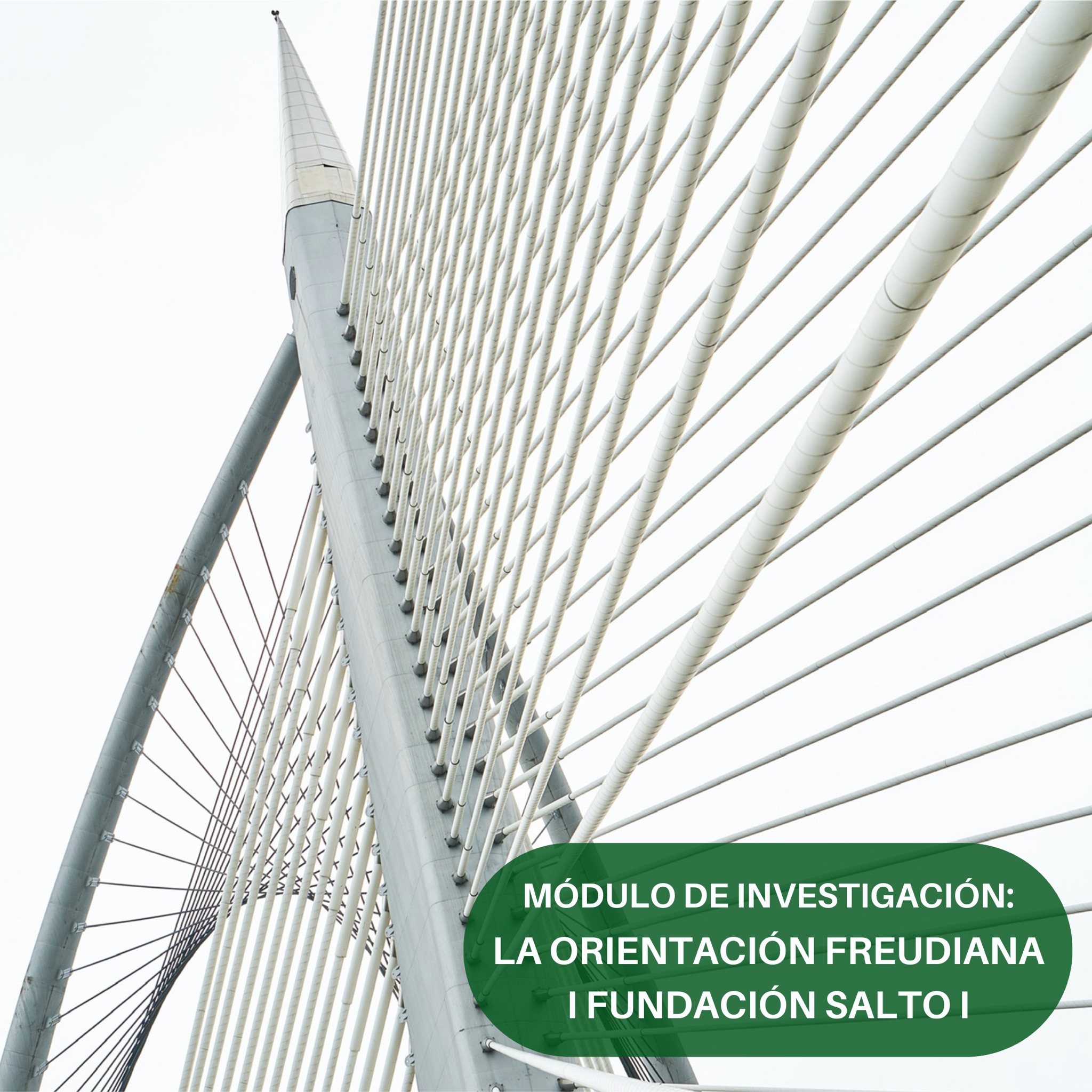 Imagen Fondo